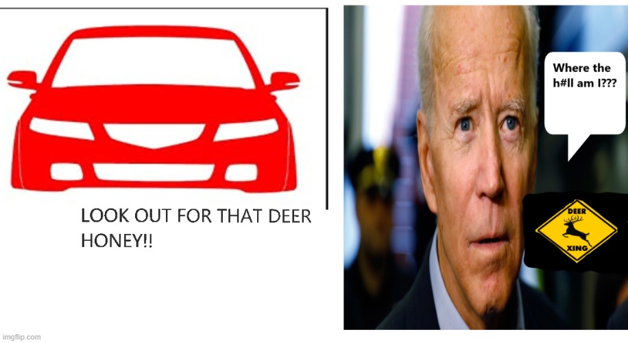 deer crossing | image tagged in funny | made w/ Imgflip meme maker