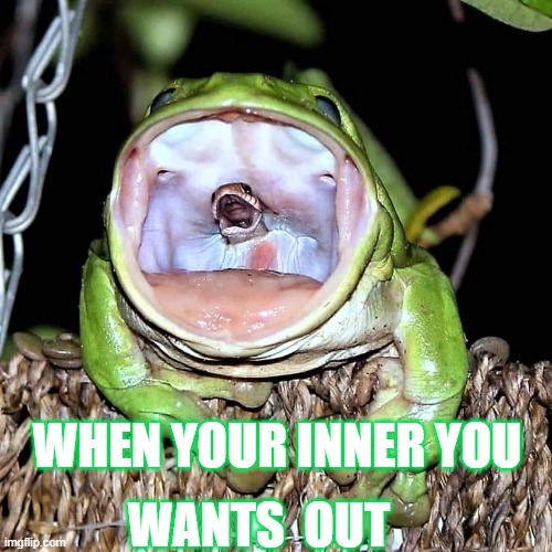 inner out | WHEN YOUR INNER YOU; WANTS  OUT | image tagged in frog | made w/ Imgflip meme maker