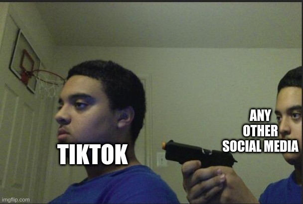 Trust Nobody, Not Even Yourself | ANY OTHER SOCIAL MEDIA; TIKTOK | image tagged in trust nobody not even yourself | made w/ Imgflip meme maker