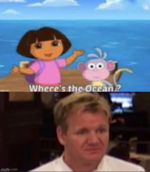 its official dora is blind | image tagged in funny,dora the explorer,special kind of stupid,memes | made w/ Imgflip meme maker