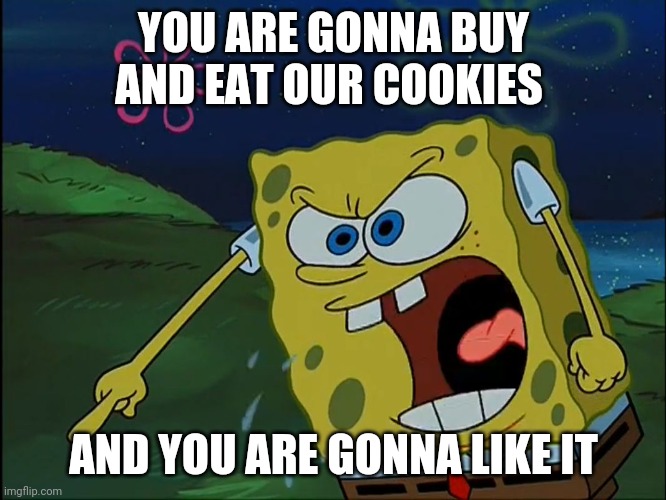 YOU ARE GONNA LIKE IT! | YOU ARE GONNA BUY AND EAT OUR COOKIES AND YOU ARE GONNA LIKE IT | image tagged in you are gonna like it | made w/ Imgflip meme maker