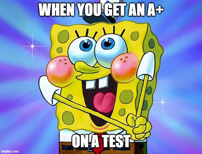 Happy sponge | WHEN YOU GET AN A+; ON A TEST | image tagged in spongebob squarepants | made w/ Imgflip meme maker