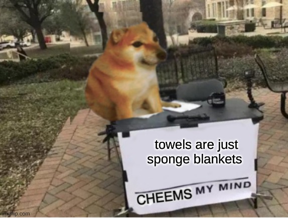 tru | towels are just sponge blankets | image tagged in cheems my mind | made w/ Imgflip meme maker