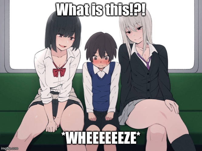 Anime women on train | What is this!?! *WHEEEEEEZE* | image tagged in anime women on train | made w/ Imgflip meme maker