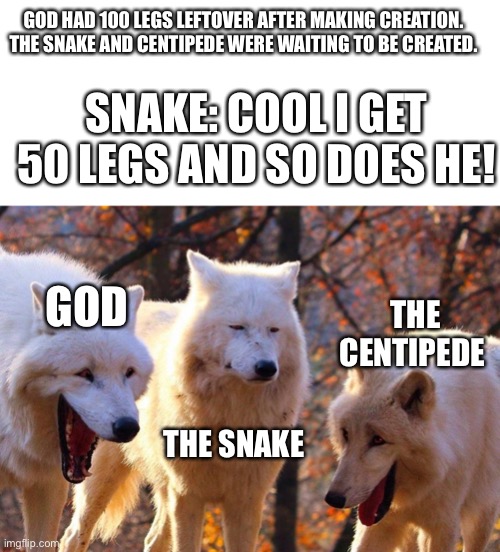 God, the centipede, and the snake | GOD HAD 100 LEGS LEFTOVER AFTER MAKING CREATION. THE SNAKE AND CENTIPEDE WERE WAITING TO BE CREATED. SNAKE: COOL I GET 50 LEGS AND SO DOES HE! GOD; THE CENTIPEDE; THE SNAKE | image tagged in 2/3 wolves laugh | made w/ Imgflip meme maker