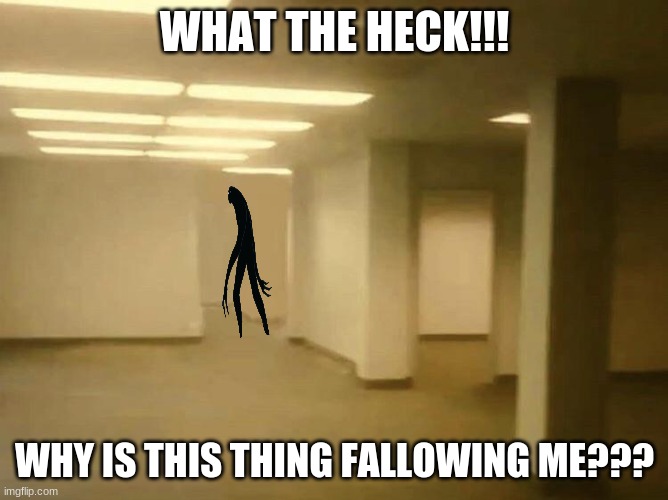 WHY AM I STILL IN HERE | WHAT THE HECK!!! WHY IS THIS THING FALLOWING ME??? | image tagged in help me please | made w/ Imgflip meme maker