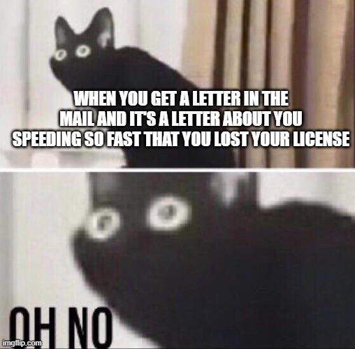 That GUT feeling | WHEN YOU GET A LETTER IN THE MAIL AND IT'S A LETTER ABOUT YOU SPEEDING SO FAST THAT YOU LOST YOUR LICENSE | image tagged in oh no cat,memes,gut feeling,oh no black cat | made w/ Imgflip meme maker