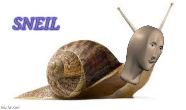 Meme man sneil | image tagged in meme man sneil,ferret | made w/ Imgflip meme maker