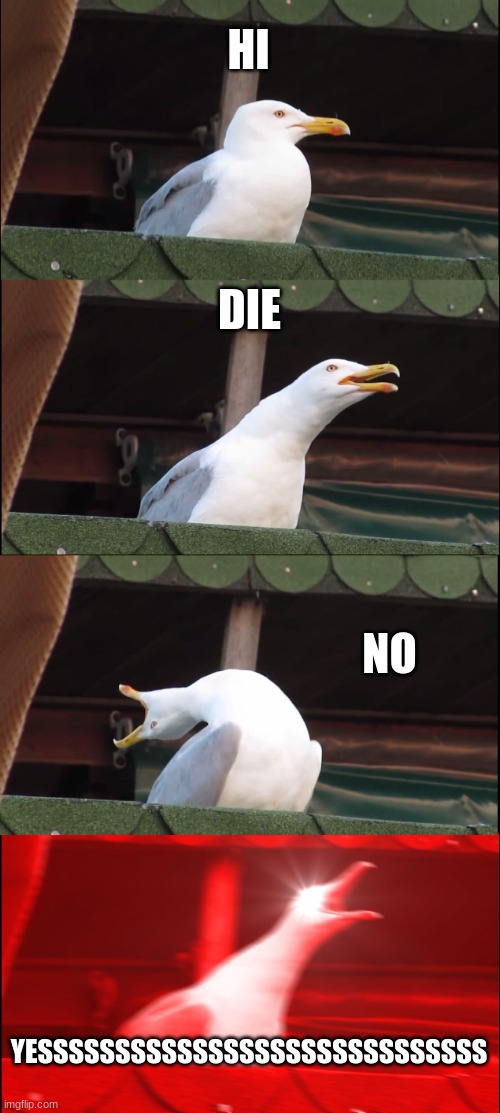 Inhaling Seagull | HI; DIE; NO; YESSSSSSSSSSSSSSSSSSSSSSSSSSSSS | image tagged in memes,inhaling seagull | made w/ Imgflip meme maker