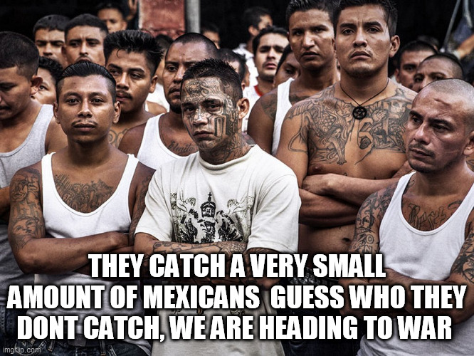 ms-13 dreamers daca | THEY CATCH A VERY SMALL AMOUNT OF MEXICANS  GUESS WHO THEY DONT CATCH, WE ARE HEADING TO WAR | image tagged in ms-13 dreamers daca | made w/ Imgflip meme maker