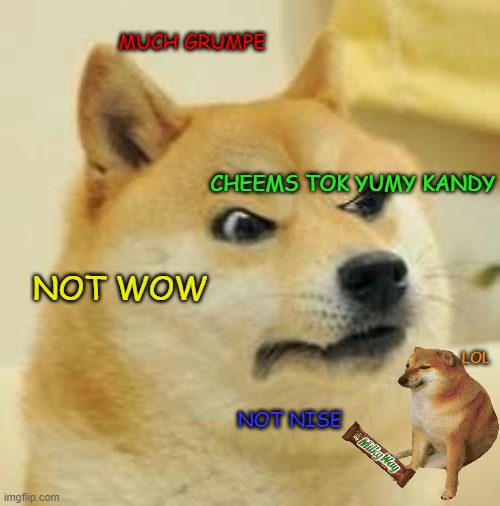 Interview with Doge #2 | MUCH GRUMPE; CHEEMS TOK YUMY KANDY; NOT WOW; LOL; NOT NISE | image tagged in angry doge | made w/ Imgflip meme maker