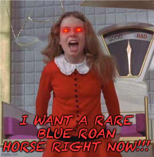 Veruca Salt | I WANT A RARE BLUE ROAN HORSE RIGHT NOW!!! | image tagged in veruca salt | made w/ Imgflip meme maker