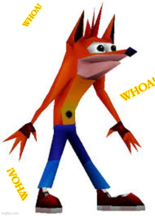 Crash Bandicoot | WHOA! WHOA! WHOA! | image tagged in crash bandicoot | made w/ Imgflip meme maker