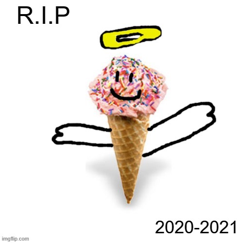 R.I.P | R.I.P; 2020-2021 | image tagged in me/supericecream705 | made w/ Imgflip meme maker