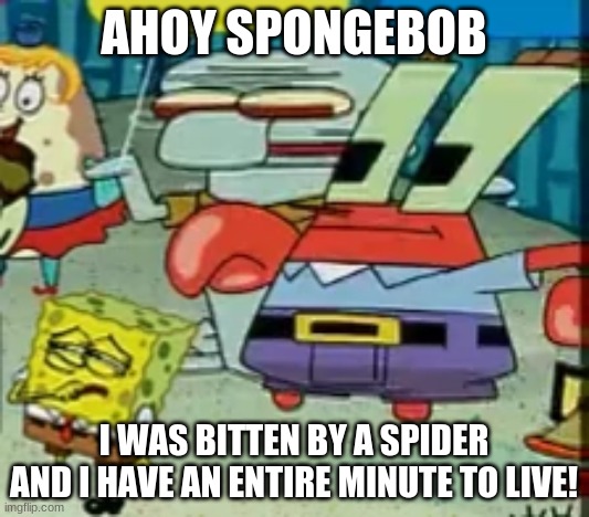 idc if it's not 2019, this meme must live on | AHOY SPONGEBOB; I WAS BITTEN BY A SPIDER AND I HAVE AN ENTIRE MINUTE TO LIVE! | image tagged in ahoy spongebob | made w/ Imgflip meme maker