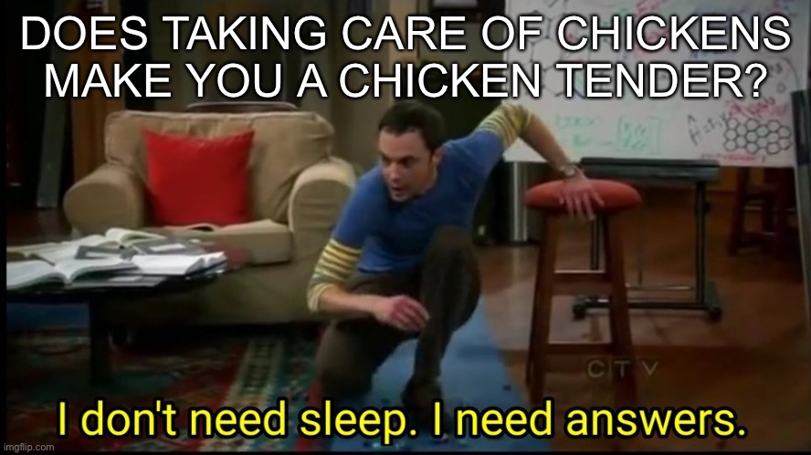 Huh??? |  DOES TAKING CARE OF CHICKENS MAKE YOU A CHICKEN TENDER? | image tagged in i don t need sleep i need answers | made w/ Imgflip meme maker