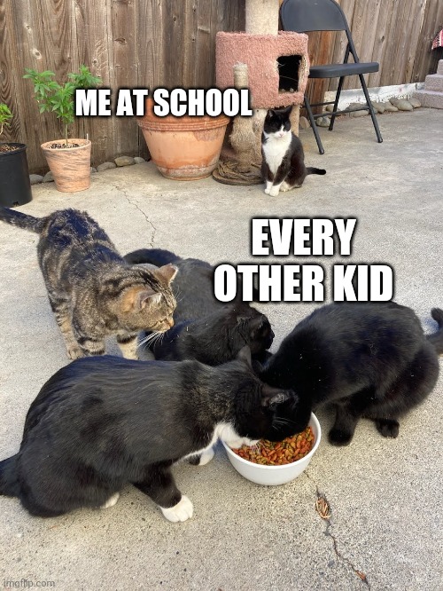 Me in any social setting | ME AT SCHOOL; EVERY OTHER KID | image tagged in autism,awkward,shy,cats | made w/ Imgflip meme maker