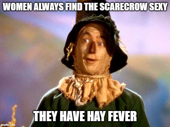 Sex with the Scarecrow | WOMEN ALWAYS FIND THE SCARECROW SEXY; THEY HAVE HAY FEVER | image tagged in wizard of oz scarecrow | made w/ Imgflip meme maker