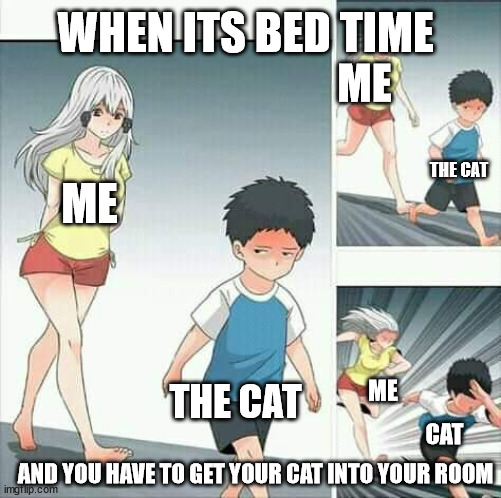 Anime boy running | WHEN ITS BED TIME; ME; THE CAT; ME; THE CAT; ME; CAT; AND YOU HAVE TO GET YOUR CAT INTO YOUR ROOM | image tagged in anime boy running | made w/ Imgflip meme maker