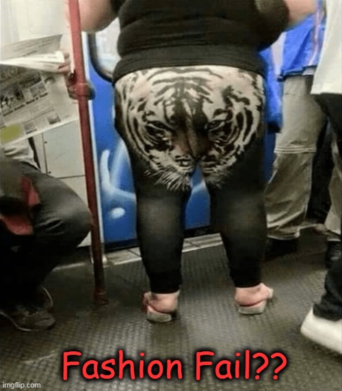What Was She Thinking? | Fashion Fail?? | image tagged in funny,fun,fashion,lol | made w/ Imgflip meme maker