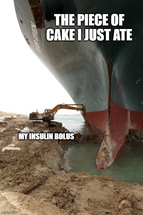 Navigating T1D Waters | THE PIECE OF CAKE I JUST ATE; MY INSULIN BOLUS | image tagged in there was an attempt | made w/ Imgflip meme maker