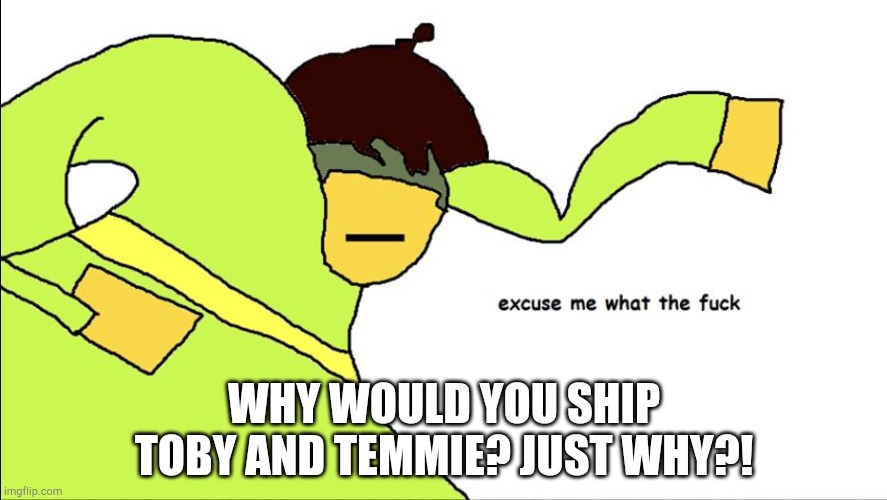 Excuse me what the frick | WHY WOULD YOU SHIP TOBY AND TEMMIE? JUST WHY?! | image tagged in excuse me what the frick | made w/ Imgflip meme maker