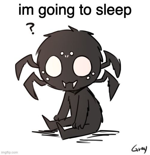 spidr | im going to sleep | image tagged in spidr | made w/ Imgflip meme maker