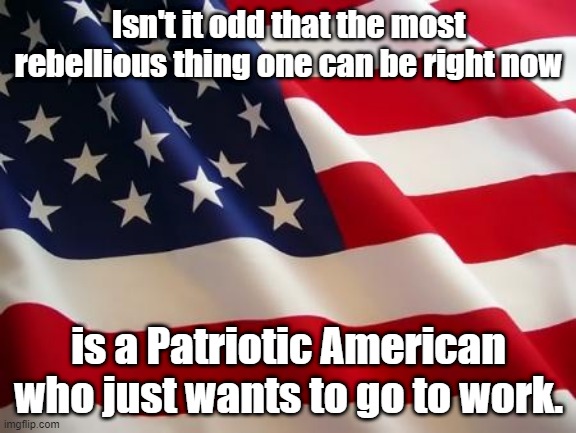 American flag | Isn't it odd that the most rebellious thing one can be right now; is a Patriotic American who just wants to go to work. | image tagged in american flag | made w/ Imgflip meme maker