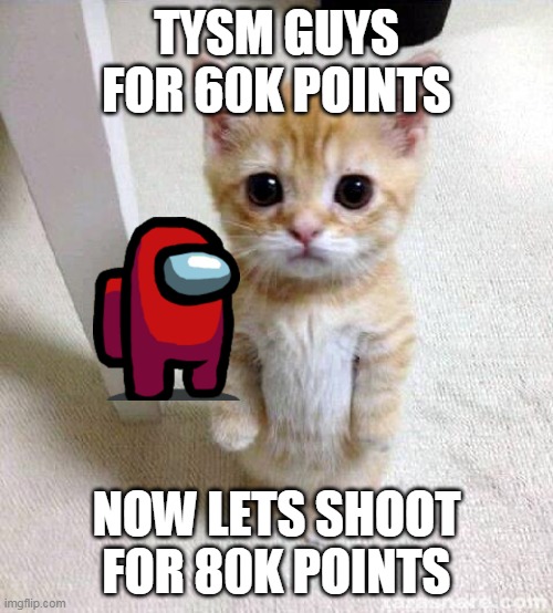 tysm yall for 60k | TYSM GUYS FOR 60K POINTS; NOW LETS SHOOT FOR 80K POINTS | image tagged in memes,cute cat | made w/ Imgflip meme maker