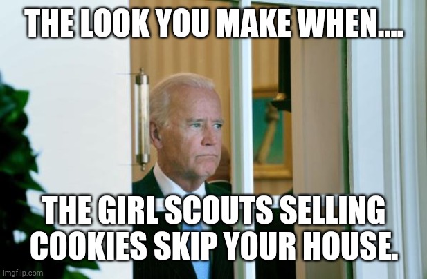 Biden window | THE LOOK YOU MAKE WHEN.... THE GIRL SCOUTS SELLING COOKIES SKIP YOUR HOUSE. | image tagged in biden window | made w/ Imgflip meme maker