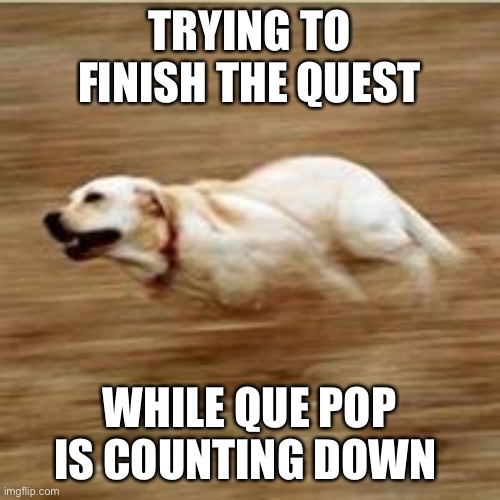 Speedy doggo | TRYING TO FINISH THE QUEST; WHILE QUE POP IS COUNTING DOWN | image tagged in speedy doggo | made w/ Imgflip meme maker