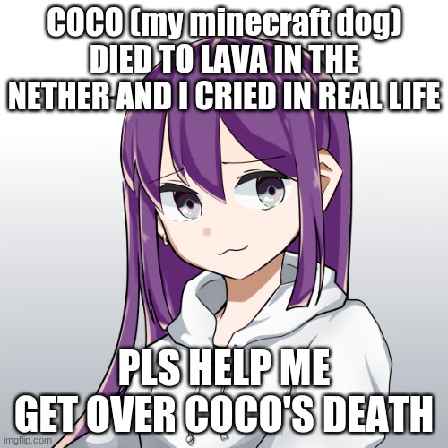 Niko | COCO (my minecraft dog) DIED TO LAVA IN THE NETHER AND I CRIED IN REAL LIFE; PLS HELP ME GET OVER COCO'S DEATH | image tagged in concerned niko | made w/ Imgflip meme maker