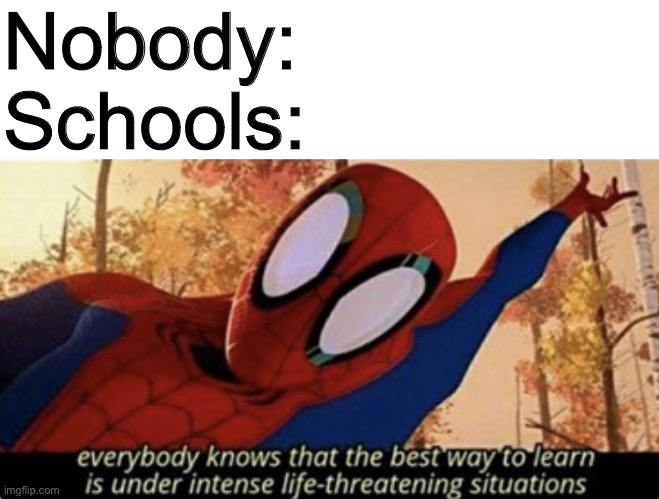 obviously | Nobody: 
Schools: | image tagged in everybody knows that the best way to learn spiderman,blank white template,middle school | made w/ Imgflip meme maker