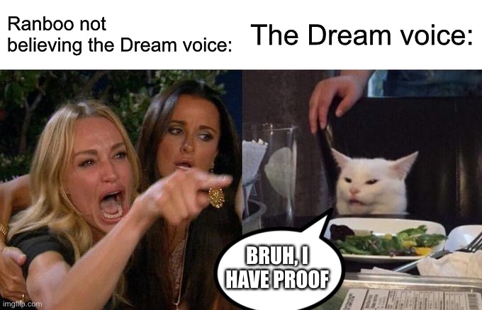 Ranboo :D | Ranboo not believing the Dream voice:; The Dream voice:; BRUH, I HAVE PROOF | image tagged in memes,woman yelling at cat | made w/ Imgflip meme maker