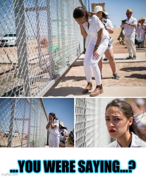 AOC Fence | ...YOU WERE SAYING...? | image tagged in aoc fence | made w/ Imgflip meme maker