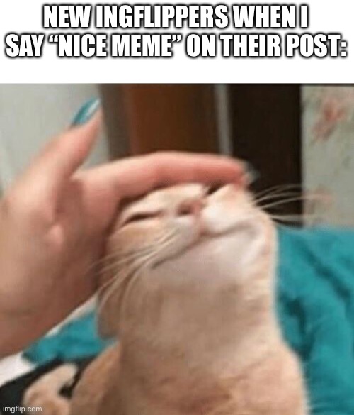 Cat being pet | NEW INGFLIPPERS WHEN I SAY “NICE MEME” ON THEIR POST: | image tagged in cat being pet | made w/ Imgflip meme maker