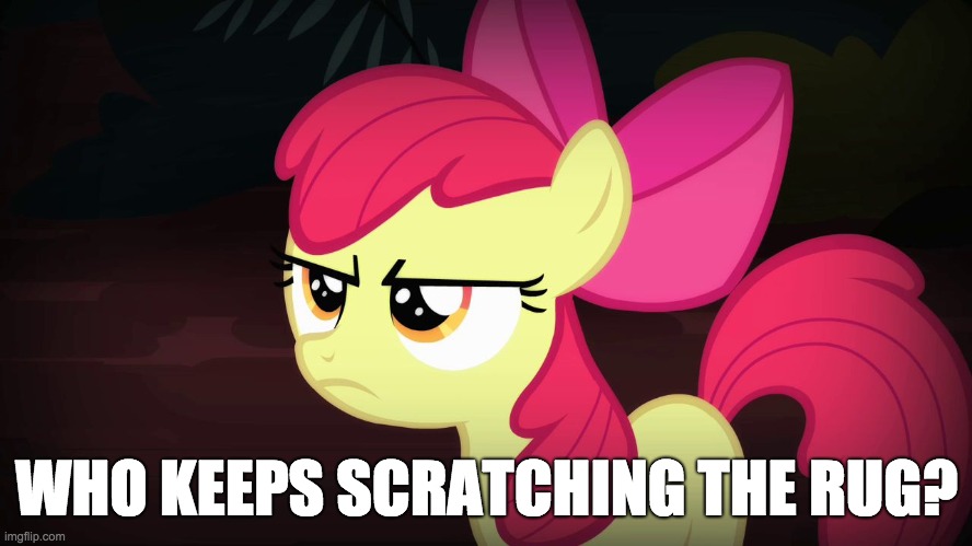 Someone needs to explain! | WHO KEEPS SCRATCHING THE RUG? | image tagged in angry applebloom,memes,scratch,rug | made w/ Imgflip meme maker