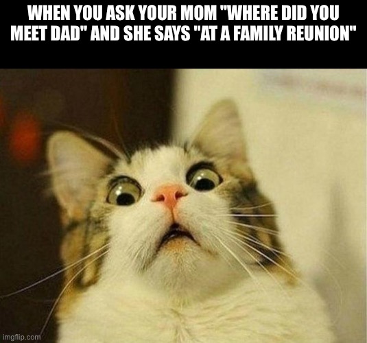 Sweet home Alabama... (not sure of this counts as dark) | WHEN YOU ASK YOUR MOM "WHERE DID YOU MEET DAD" AND SHE SAYS "AT A FAMILY REUNION" | image tagged in memes,scared cat | made w/ Imgflip meme maker