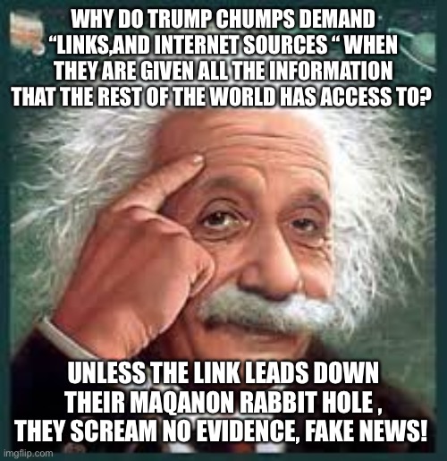 AA A eistien einstien | WHY DO TRUMP CHUMPS DEMAND “LINKS,AND INTERNET SOURCES “ WHEN THEY ARE GIVEN ALL THE INFORMATION THAT THE REST OF THE WORLD HAS ACCESS TO? UNLESS THE LINK LEADS DOWN THEIR MAQANON RABBIT HOLE , THEY SCREAM NO EVIDENCE, FAKE NEWS! | image tagged in aa a eistien einstien | made w/ Imgflip meme maker