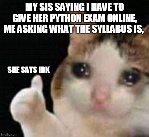 its real, not a joke | MY SIS SAYING I HAVE TO GIVE HER PYTHON EXAM ONLINE, ME ASKING WHAT THE SYLLABUS IS, SHE SAYS IDK | image tagged in approved crying cat,coding,real | made w/ Imgflip meme maker