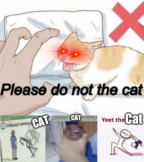How to not the cat | Cat; CAT; CAT | image tagged in please do not the cat,casually approach child grasp child firmly yeet the child | made w/ Imgflip meme maker