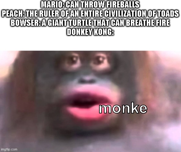 Monke Kong | MARIO: CAN THROW FIREBALLS
PEACH: THE RULER OF AN ENTIRE CIVILIZATION OF TOADS
BOWSER: A GIANT TURTLE THAT CAN BREATHE FIRE
DONKEY KONG:; monke | image tagged in memes,mario,monke,donkey kong | made w/ Imgflip meme maker