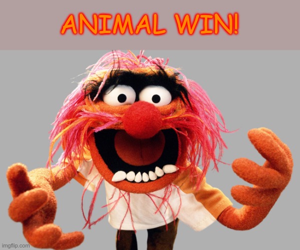 animal muppets | ANIMAL WIN! | image tagged in animal muppets | made w/ Imgflip meme maker