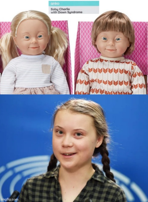 Baby Dolls with Down Syndrome | image tagged in down syndrome,doll,greta thunberg,how dare you | made w/ Imgflip meme maker