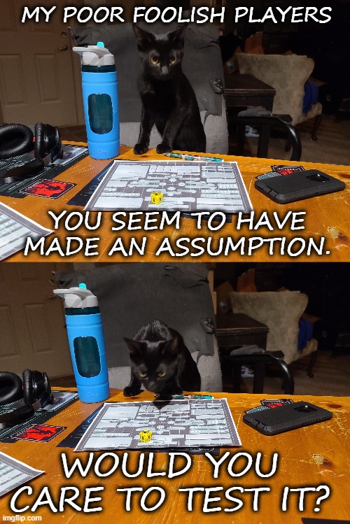 GM Kitten | MY POOR FOOLISH PLAYERS; YOU SEEM TO HAVE MADE AN ASSUMPTION. WOULD YOU CARE TO TEST IT? | image tagged in gm kitten | made w/ Imgflip meme maker
