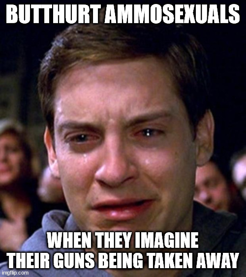 crying peter parker | BUTTHURT AMMOSEXUALS WHEN THEY IMAGINE THEIR GUNS BEING TAKEN AWAY | image tagged in crying peter parker | made w/ Imgflip meme maker