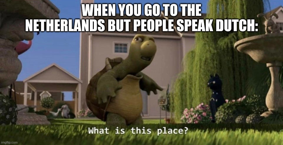 What is this place | WHEN YOU GO TO THE NETHERLANDS BUT PEOPLE SPEAK DUTCH: | image tagged in what is this place | made w/ Imgflip meme maker