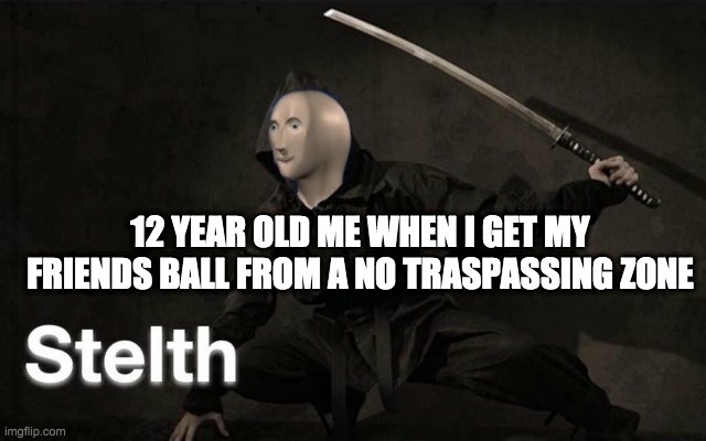 Stelth | 12 YEAR OLD ME WHEN I GET MY FRIENDS BALL FROM A NO TRASPASSING ZONE | image tagged in stelth | made w/ Imgflip meme maker