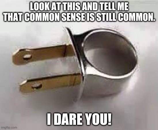 So much for Common Sense | LOOK AT THIS AND TELL ME THAT COMMON SENSE IS STILL COMMON. I DARE YOU! | image tagged in stupid people | made w/ Imgflip meme maker