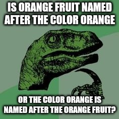 What do you think?? Comment your answers | IS ORANGE FRUIT NAMED AFTER THE COLOR ORANGE; OR THE COLOR ORANGE IS NAMED AFTER THE ORANGE FRUIT? | image tagged in time raptor,meme,memes,raptor,velociraptor | made w/ Imgflip meme maker